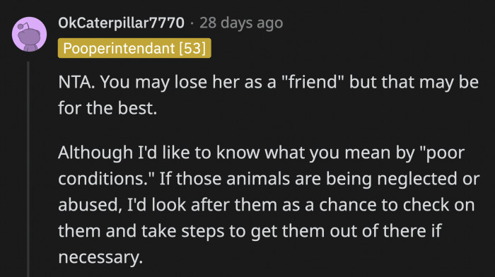 With a total of 11 pets, it's disturbing that OP thinks the poor animals are not living in the best conditions