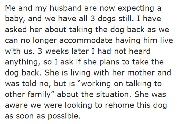 Since she's pregnant, the OP decided to give the dog up.