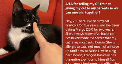 Lady Refuses To Give Her Cat To Her Parents So Her Allergic Partner Can Move In, Redditors React