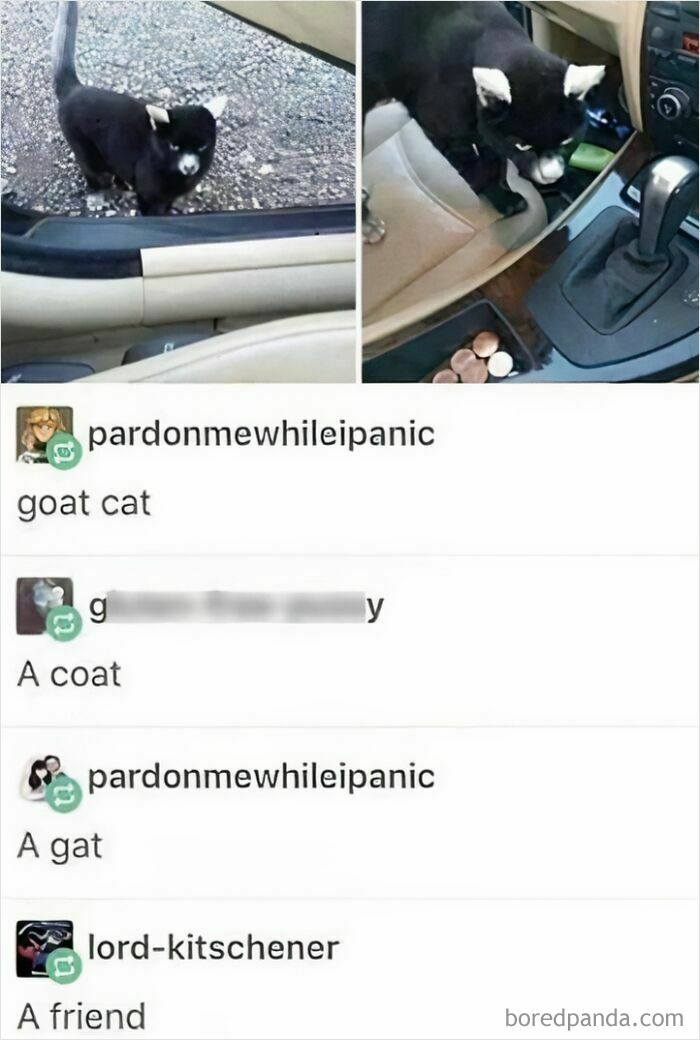 30. Every stage of confusion perfectly documented.