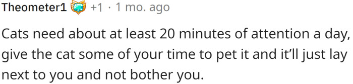 Cats need attention too. Well, unless they don't want it. Who could tell?