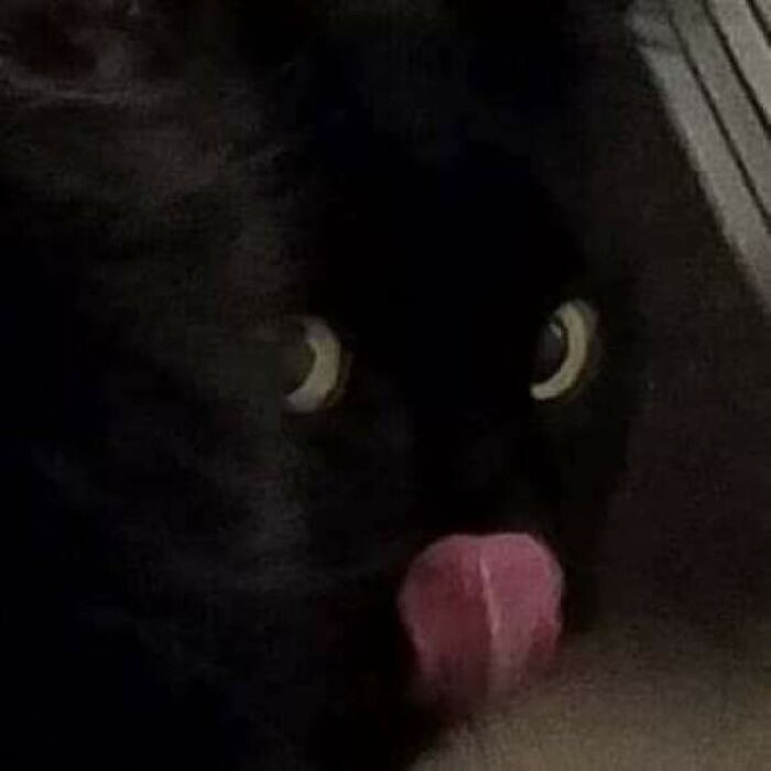 27. Caught bleping