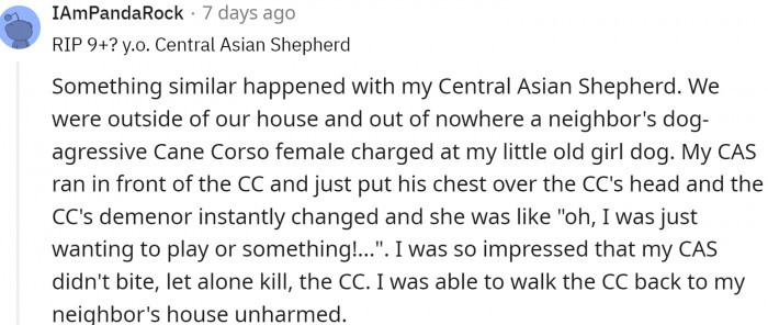 Do not mess with Central Asian Shepherd dogs...