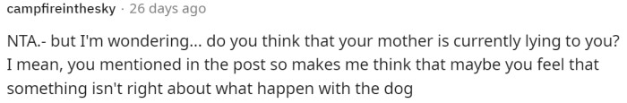 People are quite concerned, and many asked if OP thought their mother was lying to them. Ultimately, based on a response from OP, she was lying.