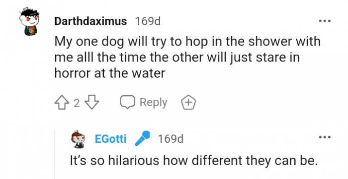 19. How Two Dogs Can Be Different