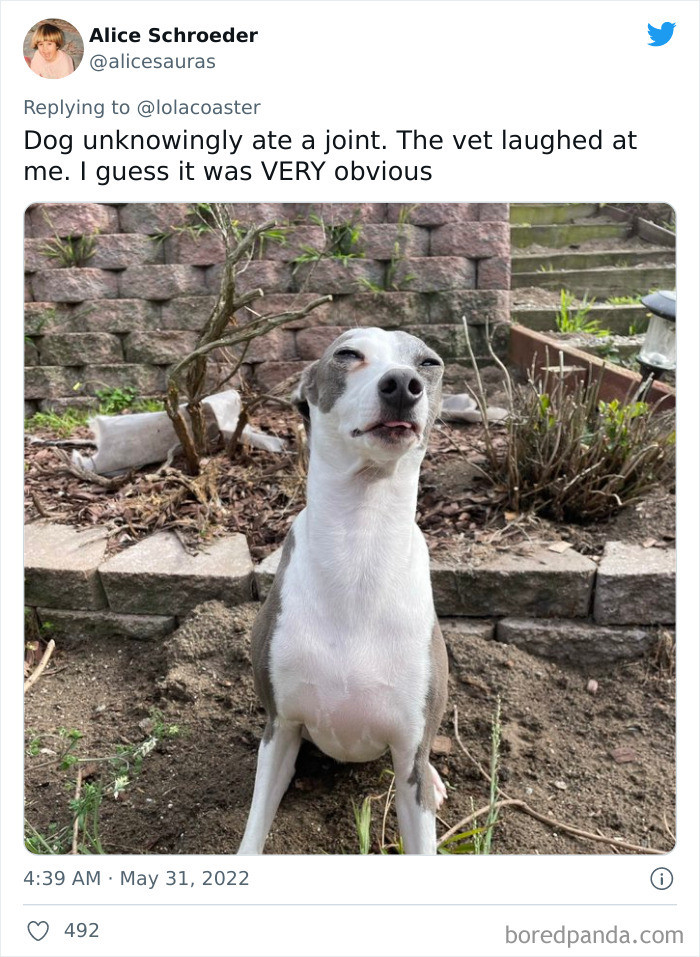 12. Living the high life