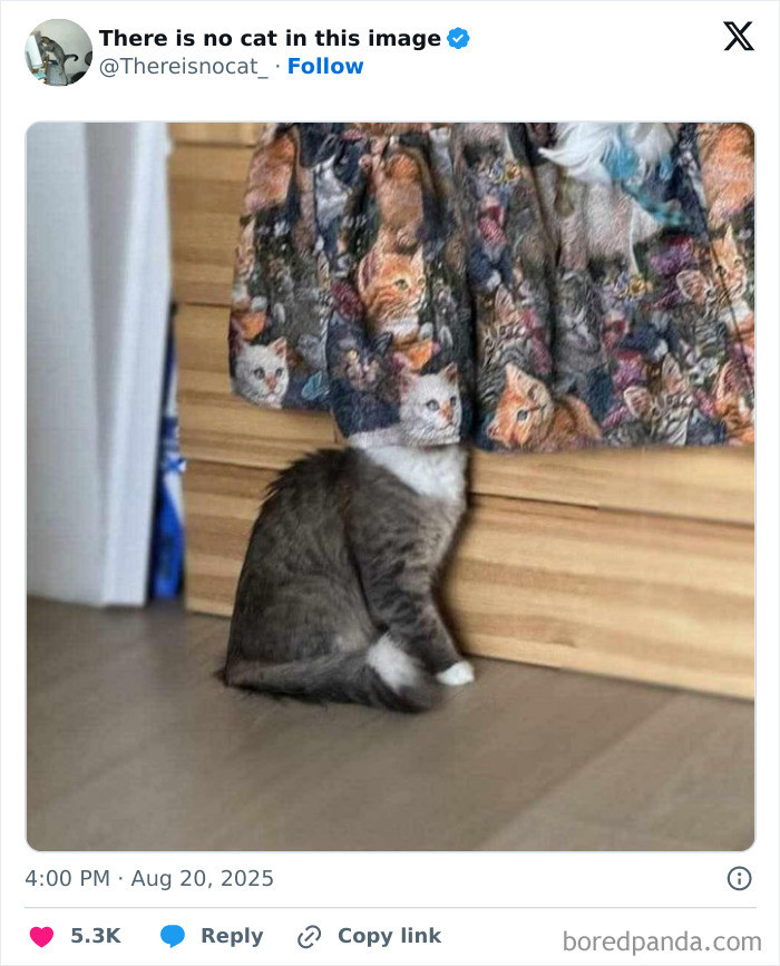 3. Tiniest Head Ever