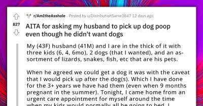 Wife Asks Husband to Pick Up Dog Poop While She Wasn't Feeling Well, but Her Husband Refused to Help Her Out