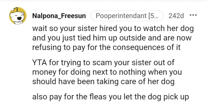 6. You were hired to watch your sister's dog
