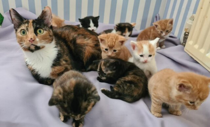 "And you say they'll be with me all the time?"