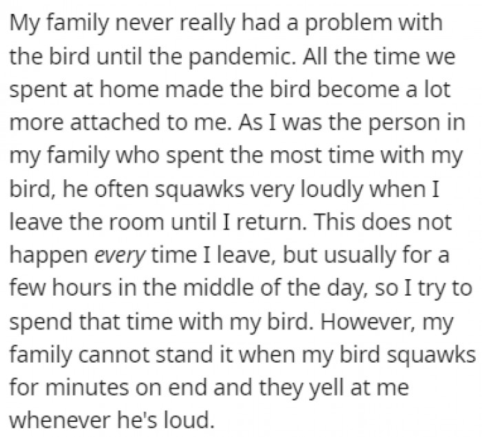The issues started during the pandemic because the cockatiel got used to its owner being around all the time