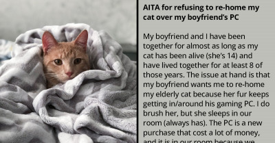 Pet Owner Consults Reddit About Her Boyfriend Who Wants To Rehome Her Senior Cat Because Its Fur Gets Inside His Gaming PC