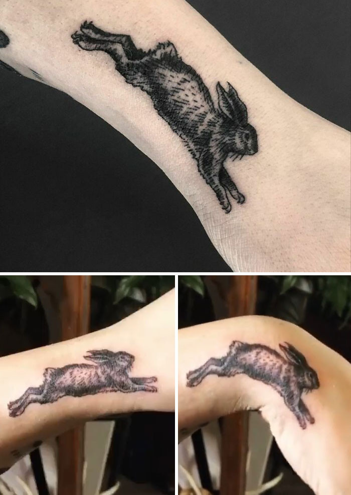 10. Galloping Rabbit