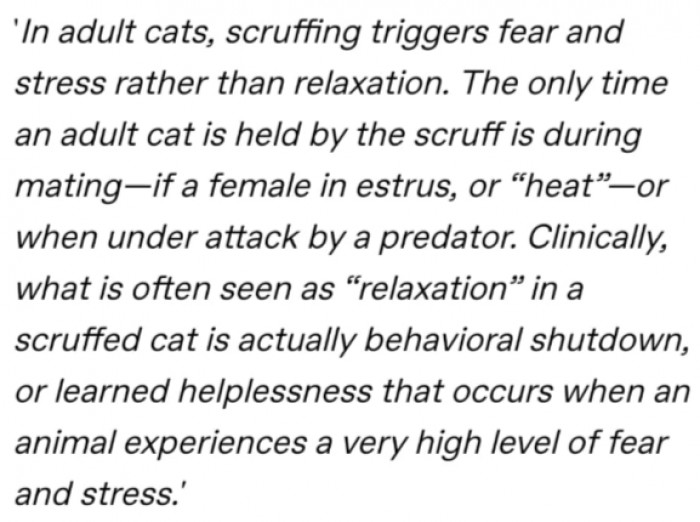 8. It can cause stress