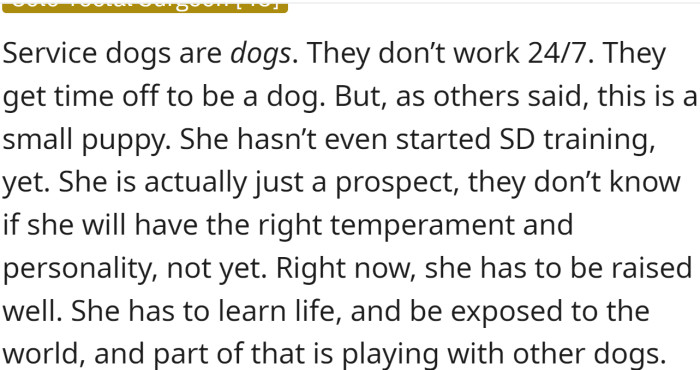 Service dogs are dogs, and they need time to rest and play