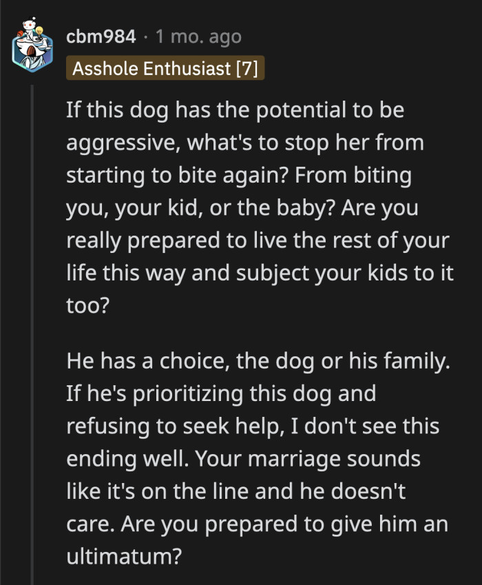 How would they handle the dog once the baby arrives given that it has a history of aggression?