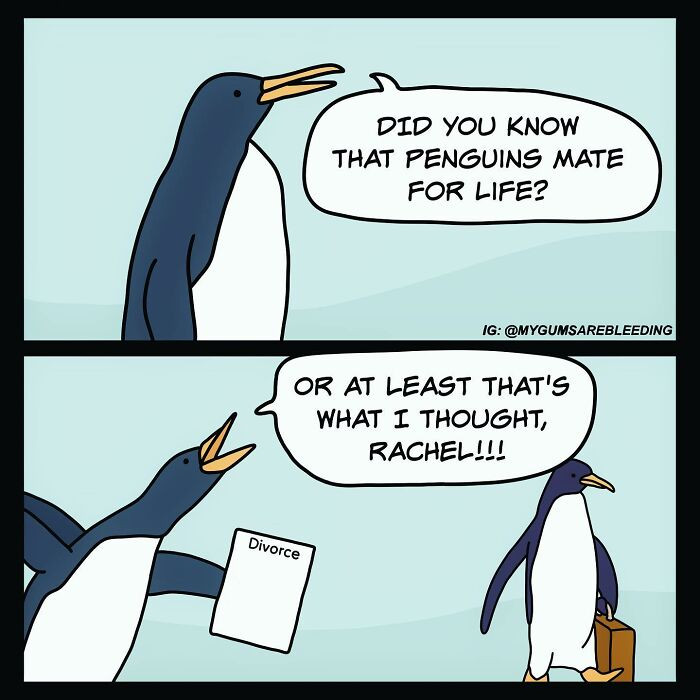 3. That is what this penguin thought