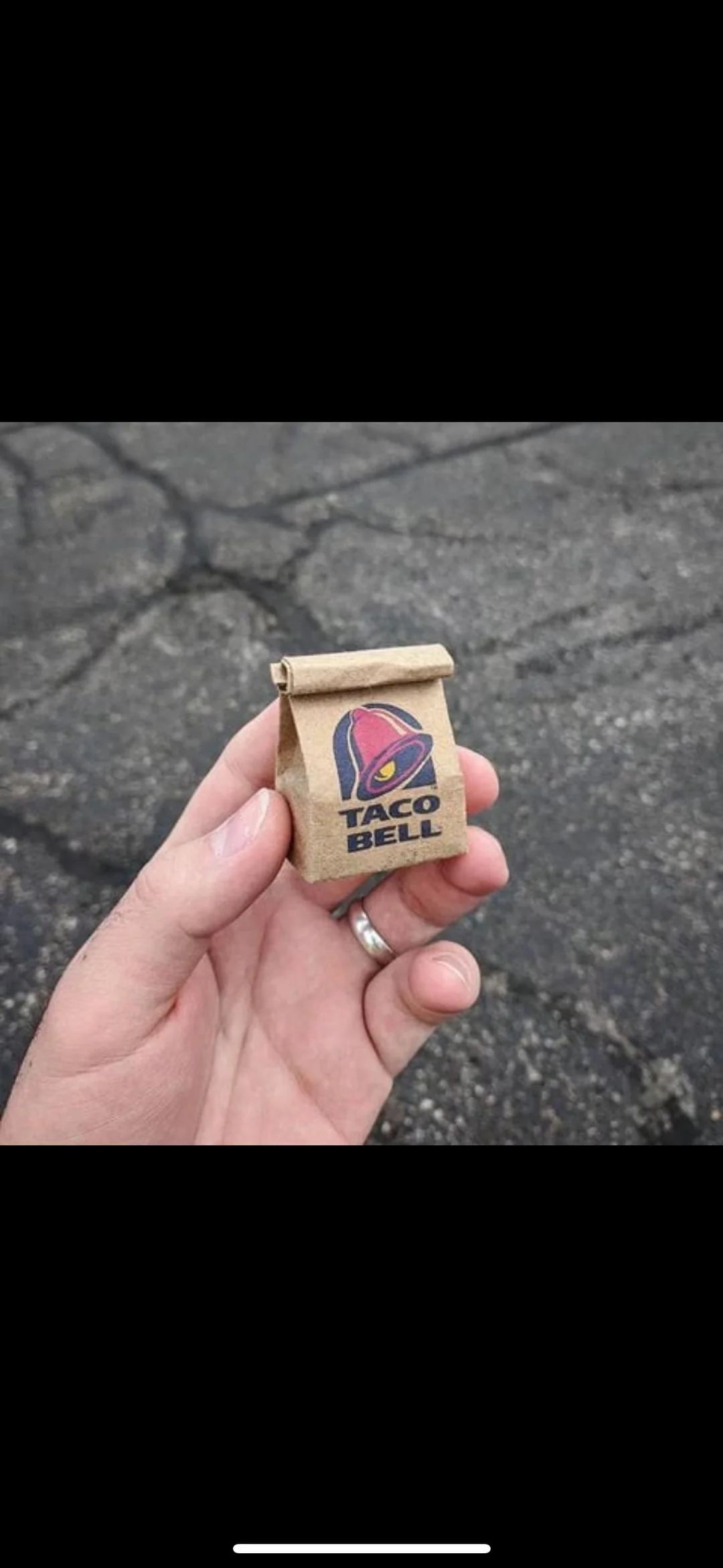 7. “What is this? Taco Bell for ants?”