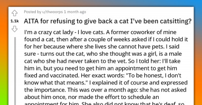 A Cat Owner Has To Decide Whether To Give Back The Cat She Was Asked To Foster Knowing That Her Friend Would Be An Irresponsible Pet Owner