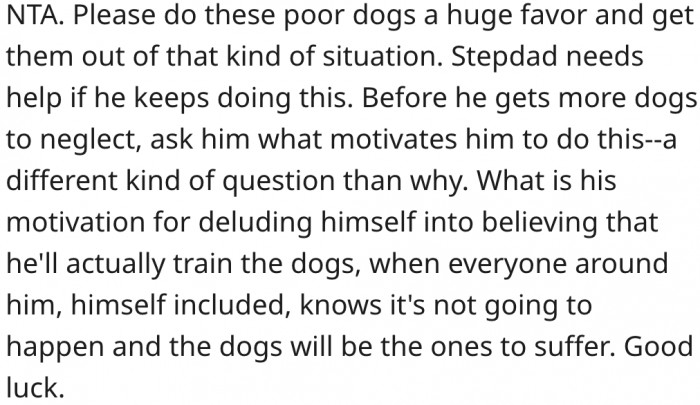 3. She would be doing the dogs a favor by reporting.