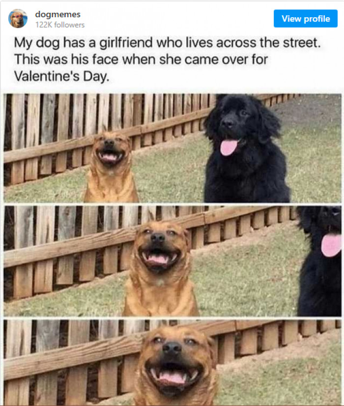 8. Someone has fallen head over heels here