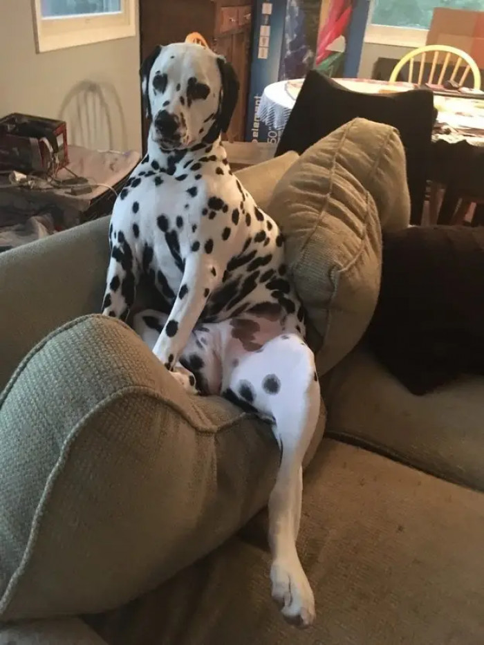 7. A new way to relax