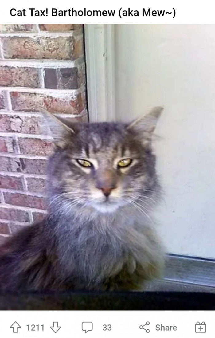 The owner of the trimmer.