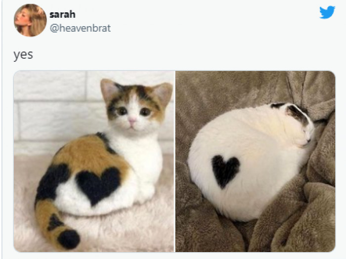 2. Cats with hearts