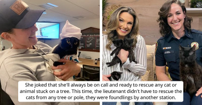 Self-Proclaimed "Chronic Animal Gatherer" And Firefighter Saves 8 Abandoned Cats From The Streets