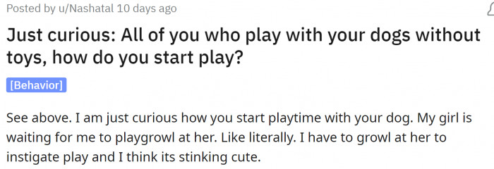 A redditor was curious about how fellow dog owners initiate play without using toys.