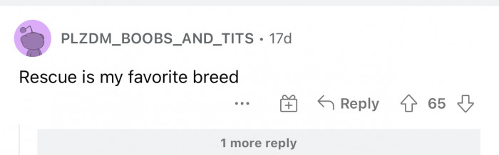 This is probably the best answer: choose a rescue over buying from a breeder.