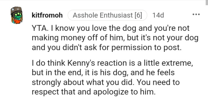 You didn't ask for permission to post