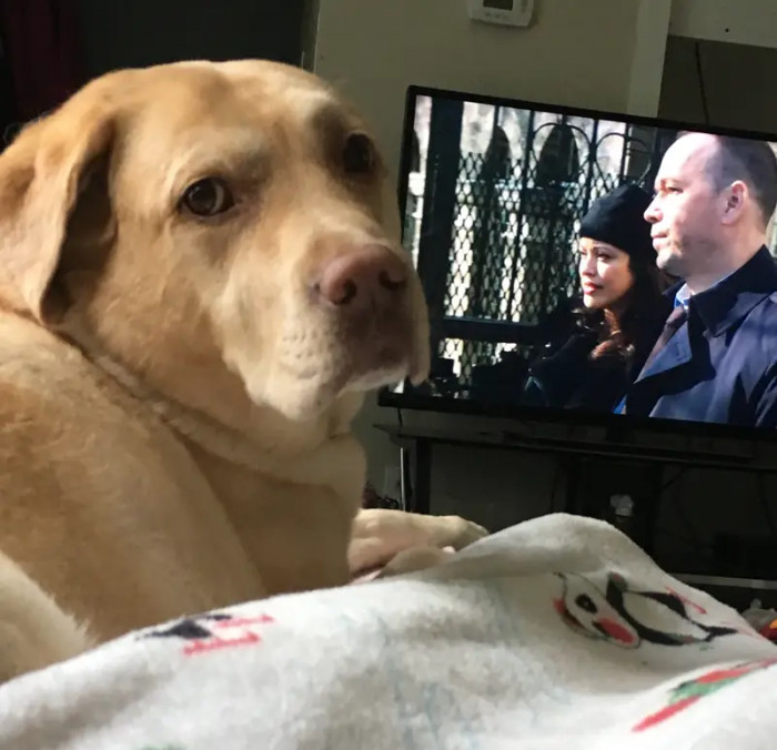 5. Why watch a movie when you can watch him?