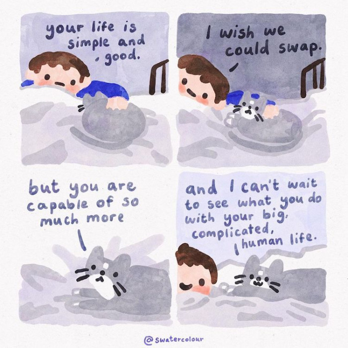 10. Can't wait to see what you do with your big, complicated human life