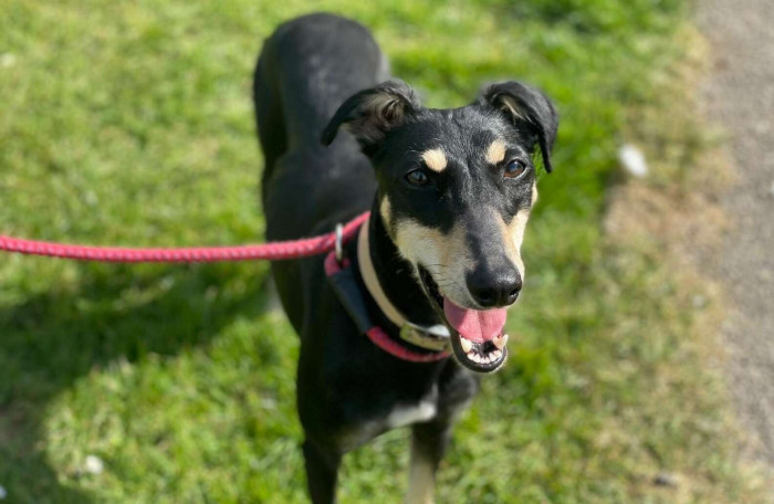 She was put on a special diet where the staff fed her little and often to slowly build up her weight and strength.