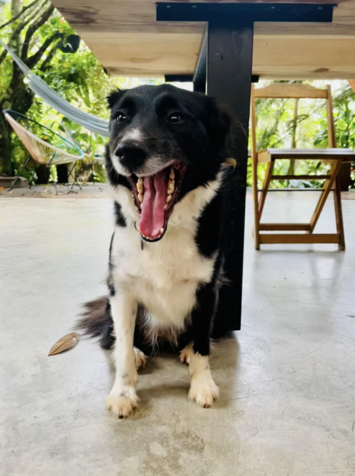 34. Lola's doing great