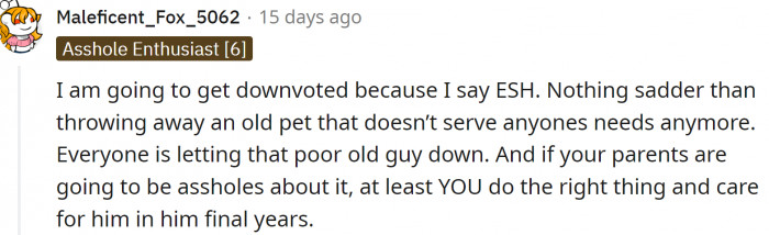 Redditors urge OP not to give up the cat.