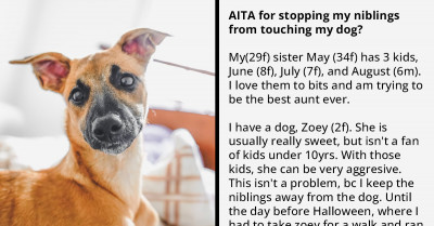 Redditor Doesn’t Let Her Nephews Pet Her Kid-Aggressive Dog, Gets Called A-Hole By Her Sister