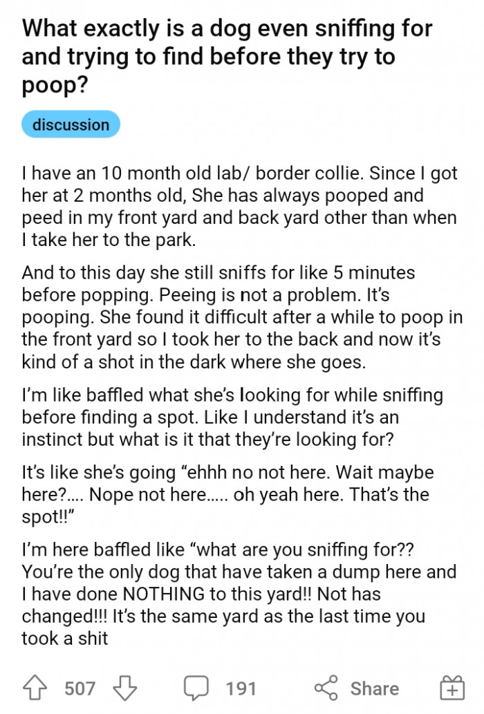 OP asking the u/Dogtraining subreddit community.