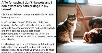 OP's Coworker Reported Her To HR For Bullying After She Snapped And Told Her She Dislikes Having Dogs And Cats In Her House