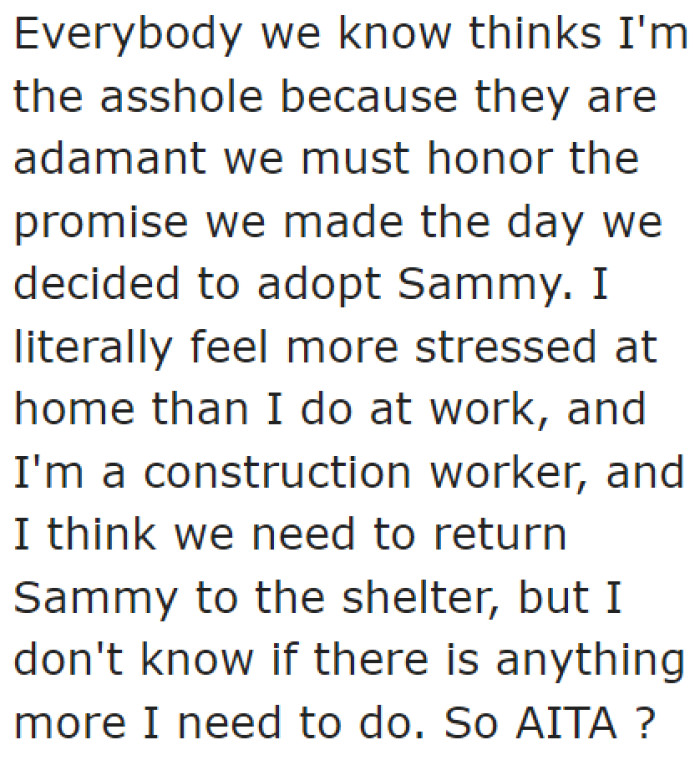 People think he's the a-hole for not having the resolve to care for the problematic cat permanently..