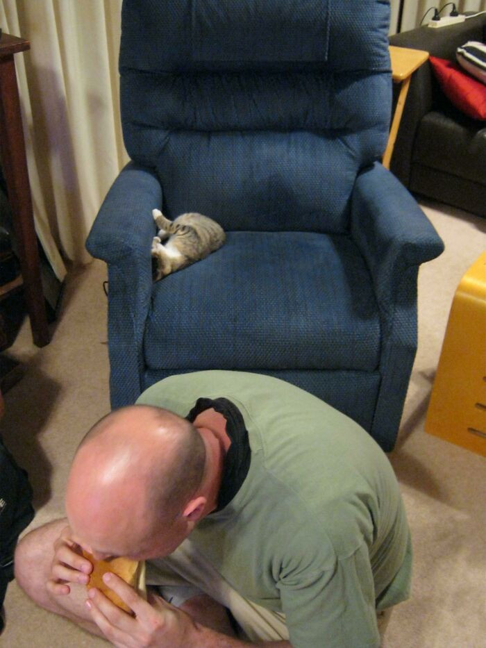 31. My Husband: Just Chuck The Cat Off If You Want To Sit Down. Also, My Husband: She's Asleep! I'm Fine Eating Dinner On The Floor.