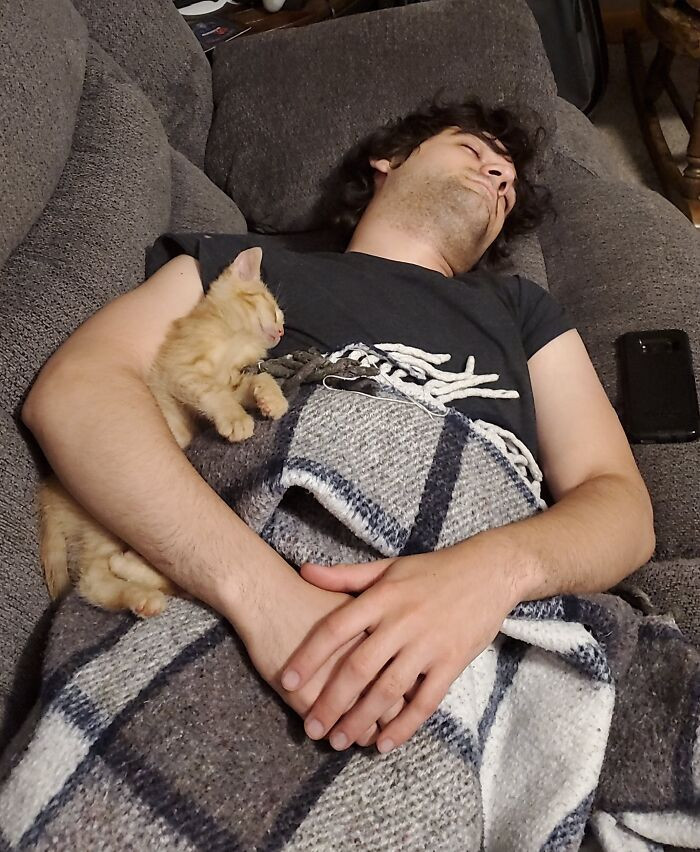 The “no kitten” rule didn’t last long. Now they nap together every chance they get