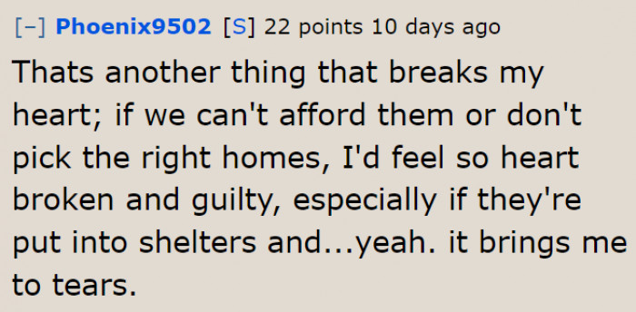 She Would Feel Guilty If the Future Pups Don't Get into a Loving Home.