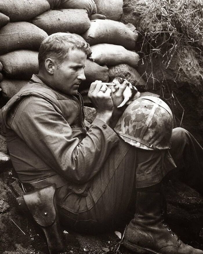 "The marine and the kitten. Korean War, 1952."