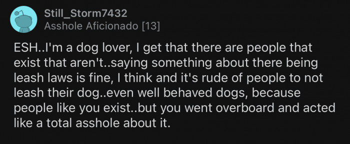 The dog owner was in the wrong, but OP could've dealt with the situation more appropriately.