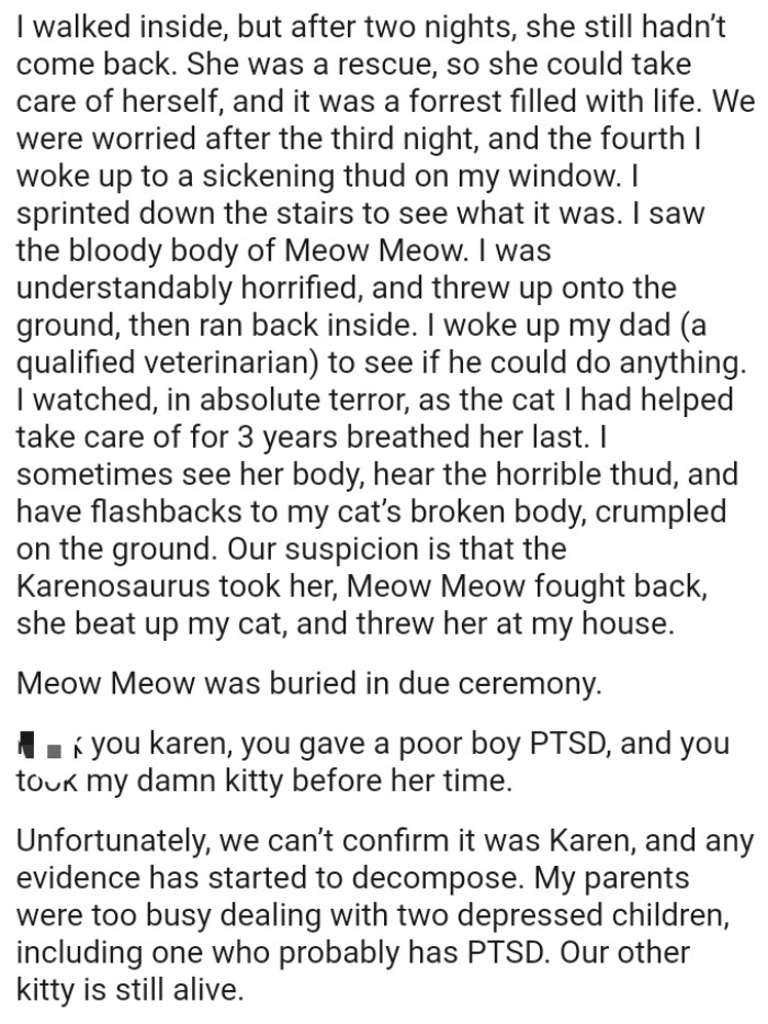 OP's suspicion is that the Karenosaurus took their cat; she fought back and was beaten up, with her body dumped for them