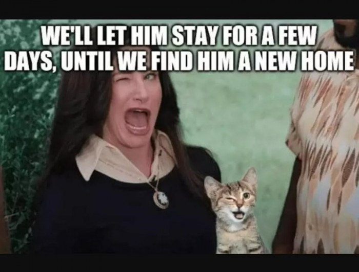 2. You get the point now???