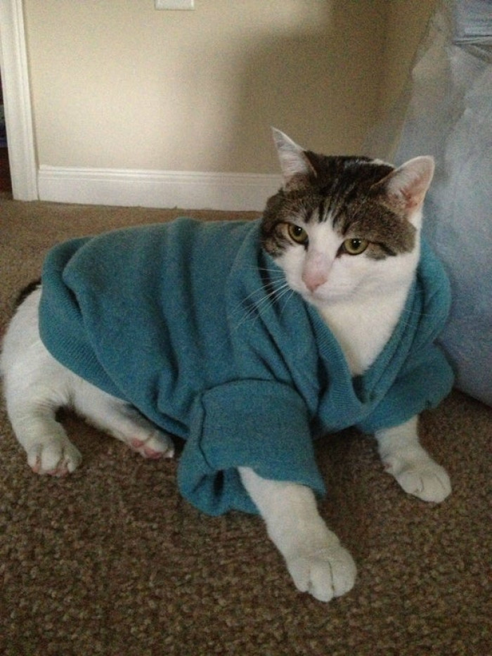 11. How to tell your husband you accidentally shrank his favorite wool sweater
