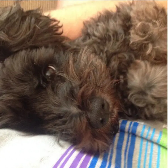 2. We’ll go on a whim and name her Beauty